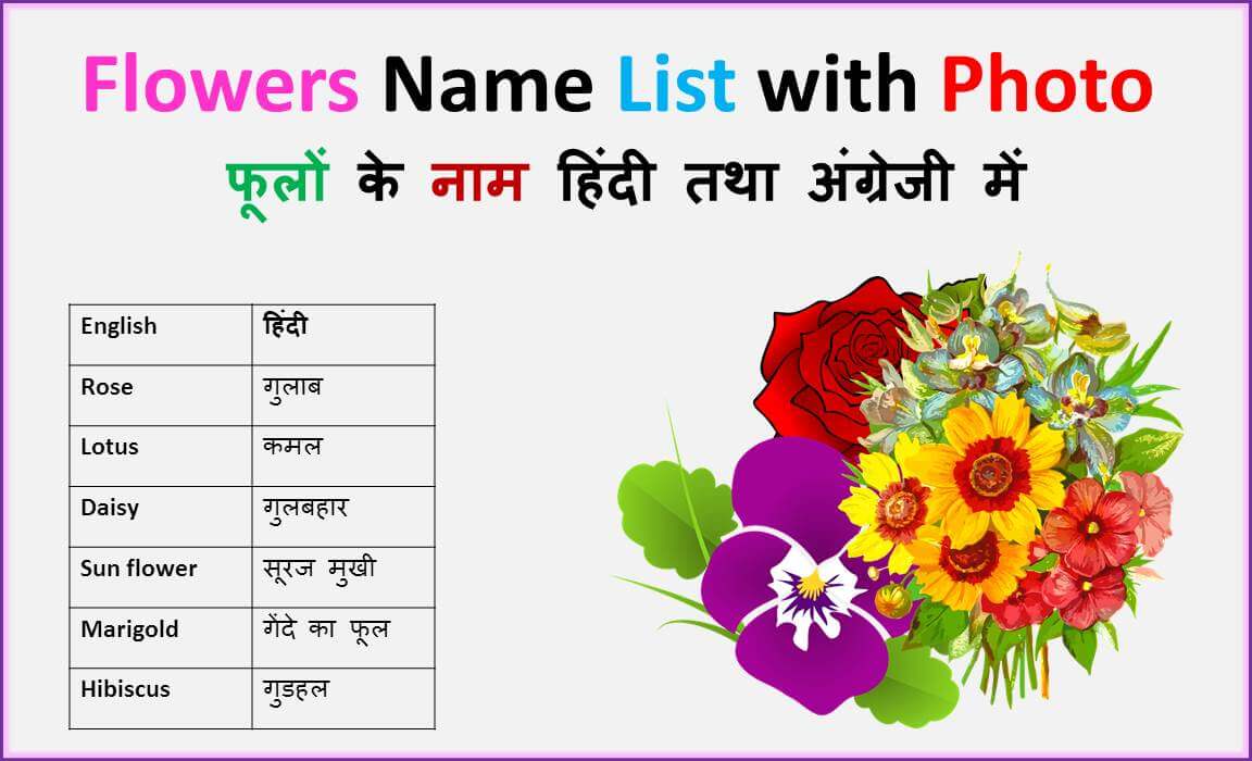 Flowers Name List Photo