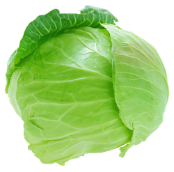 Cabbage सब्जी 