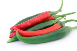 Chilli Vegetables in Hindi