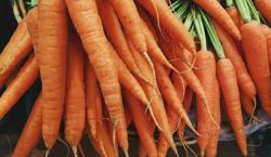 Carrots Vegetables In Hindi