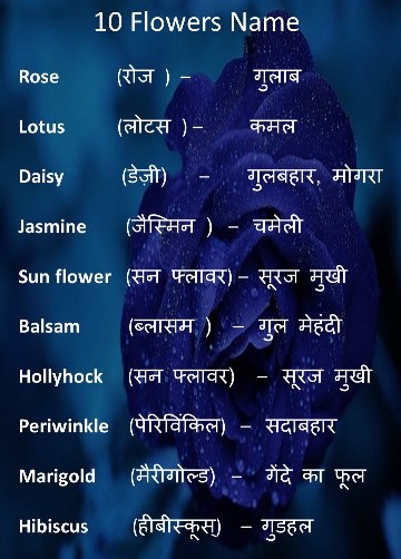 10 Flowers Name in Hindi