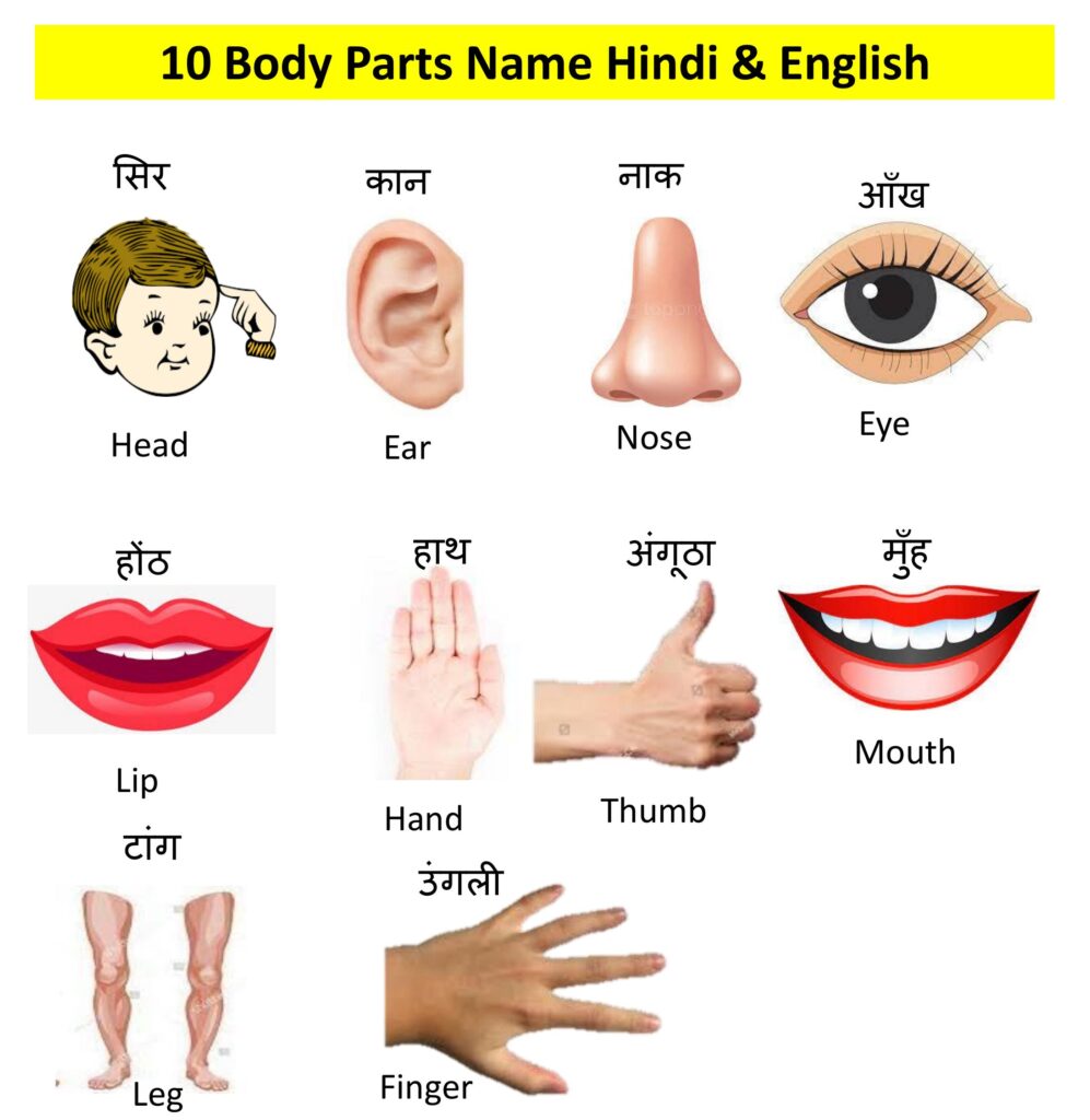 body-parts-name-in-hindi-english
