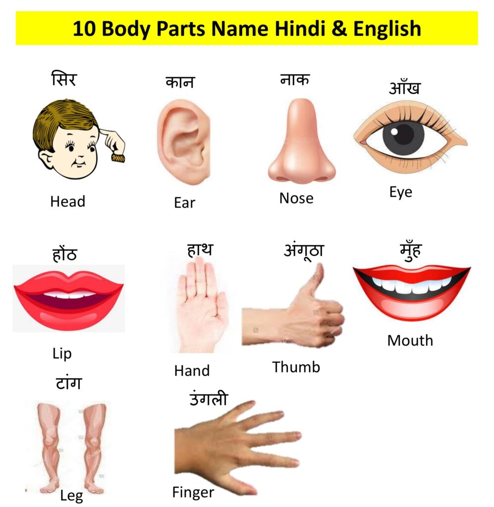 write 10 parts of body name in hindi